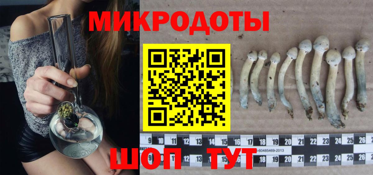 Галлюциногенные грибы Cubensis Похвистнево
