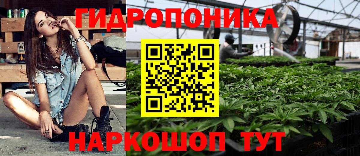 Бошки Шишки ГИДРОПОН  Вход с VPN  МАРИХУАНА ГИДРОПОН  Каннабис марихуана  Похвистнево 